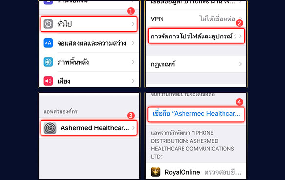 ตั้งค่านักพัฒนา